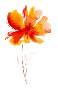 orange flower in watercolor